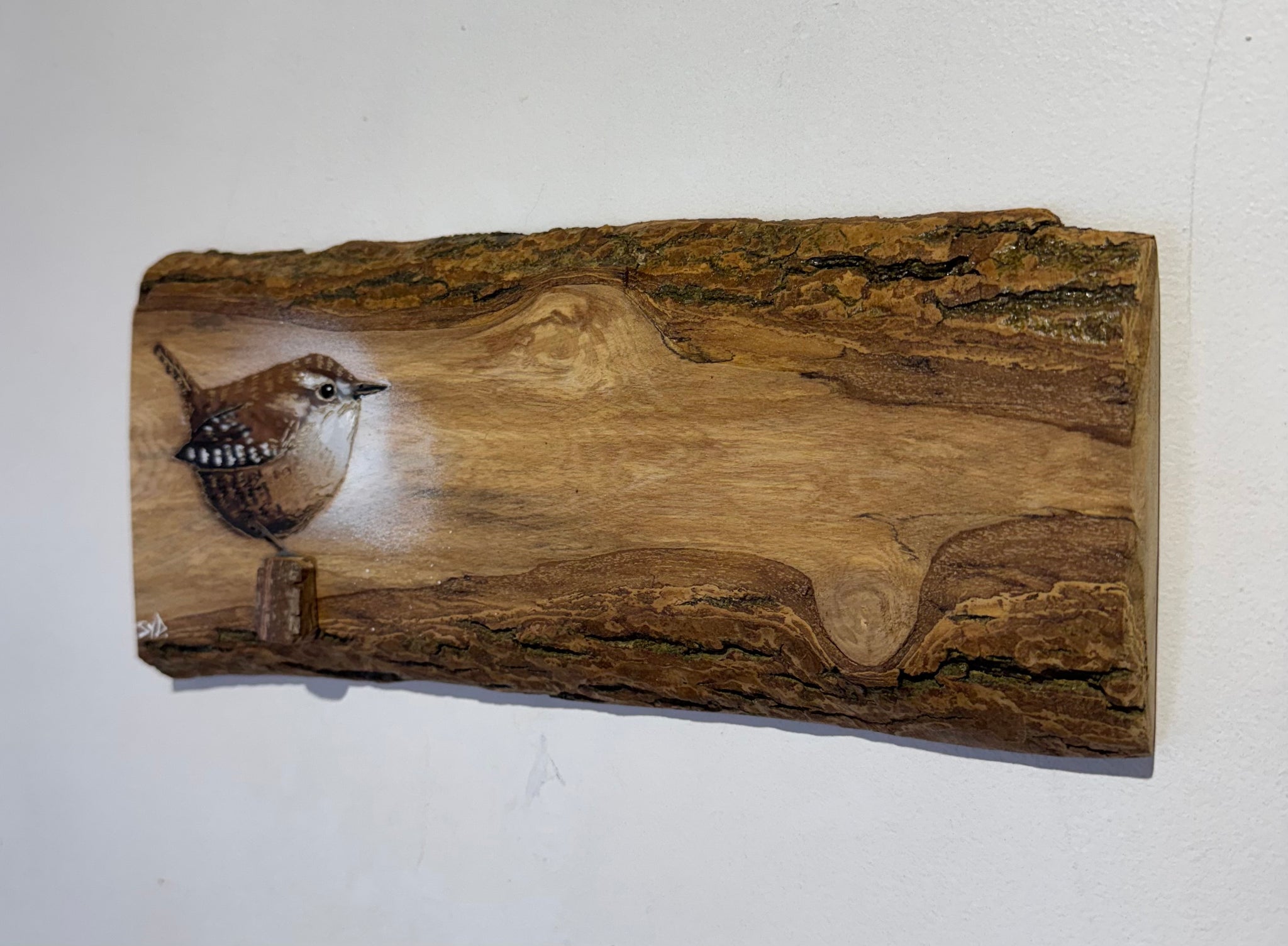 Wren 2026 - New for this summer season No. 4 on barky Ash wood sourced from the UK - Signed limited edition artwork - 30 x 14cm