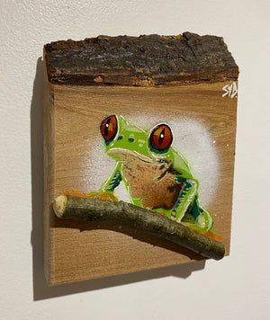 Tree Frog Brand New Artwork fro 2025 on Elm - Number 18 - 14 x 15cm with barky top edge