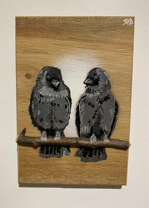 Local Lovebirds (Jackdaws) new for 2025 on Oak wood - Number 1 in edition - 14 x 21cm