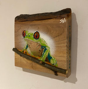 Tree Frog Brand New Artwork fro 2025 on Elm - Number 1 - 15 x 15cm with barky top edge