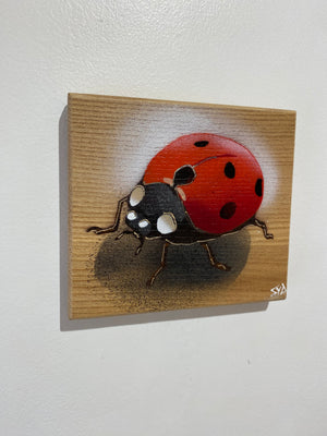Ladybird ‘Speedy’ 2024 - No. 29 in edition on Elm wood from the UK size 14 x 13cm