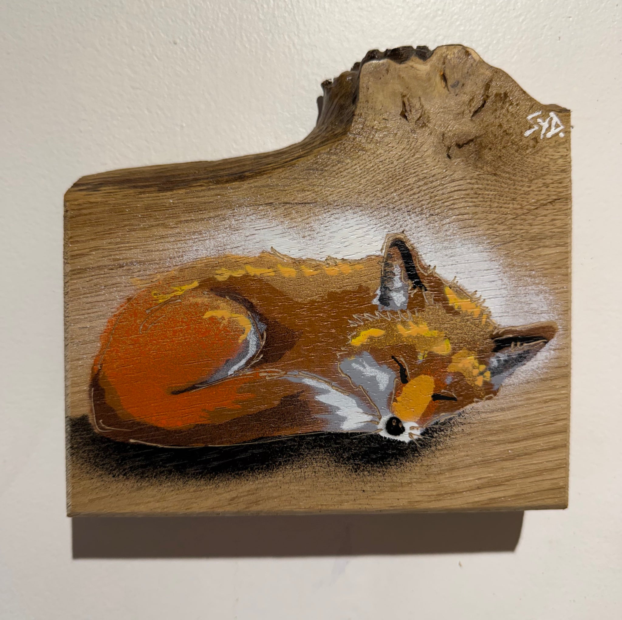Snoozey Fox - New for 2026 on barky oak wood - Number 10 - Size 15 x 14cm