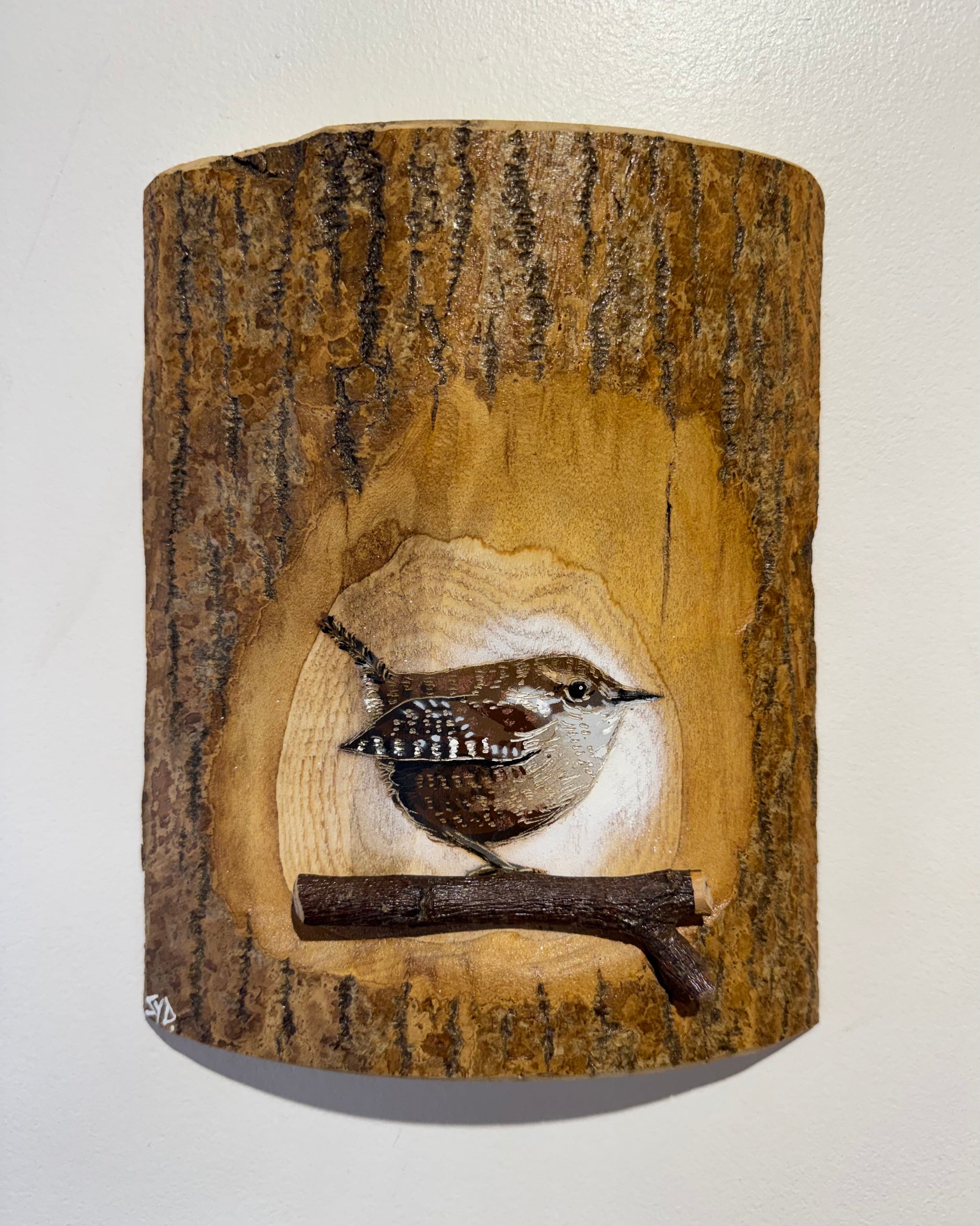 Wren 2026 - New for this summer season No. 1 on barky Ash Log sourced from the UK - Signed limited edition artwork - 18 x 24cm