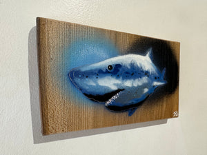 Shark on Elm wood 21 x 12cm - Signed and Limited edition from Original spray painted street artwork