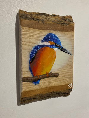 Kingfisher ‘Fisherman’ on ash barky wood - Number 1 in edition - Signed artwork size 15 x 23cm -