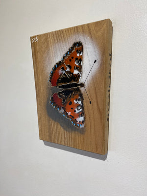 Butterfly 2024 Stencil Art on Elm, limited edition artwork - 14 x 18cm