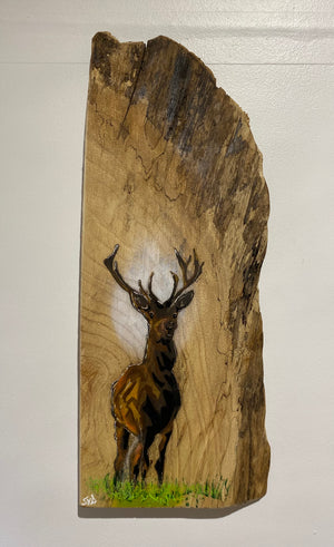 Solid Stag artwork design on Elm wood - 14 x 30cm Signed Artist's Choice