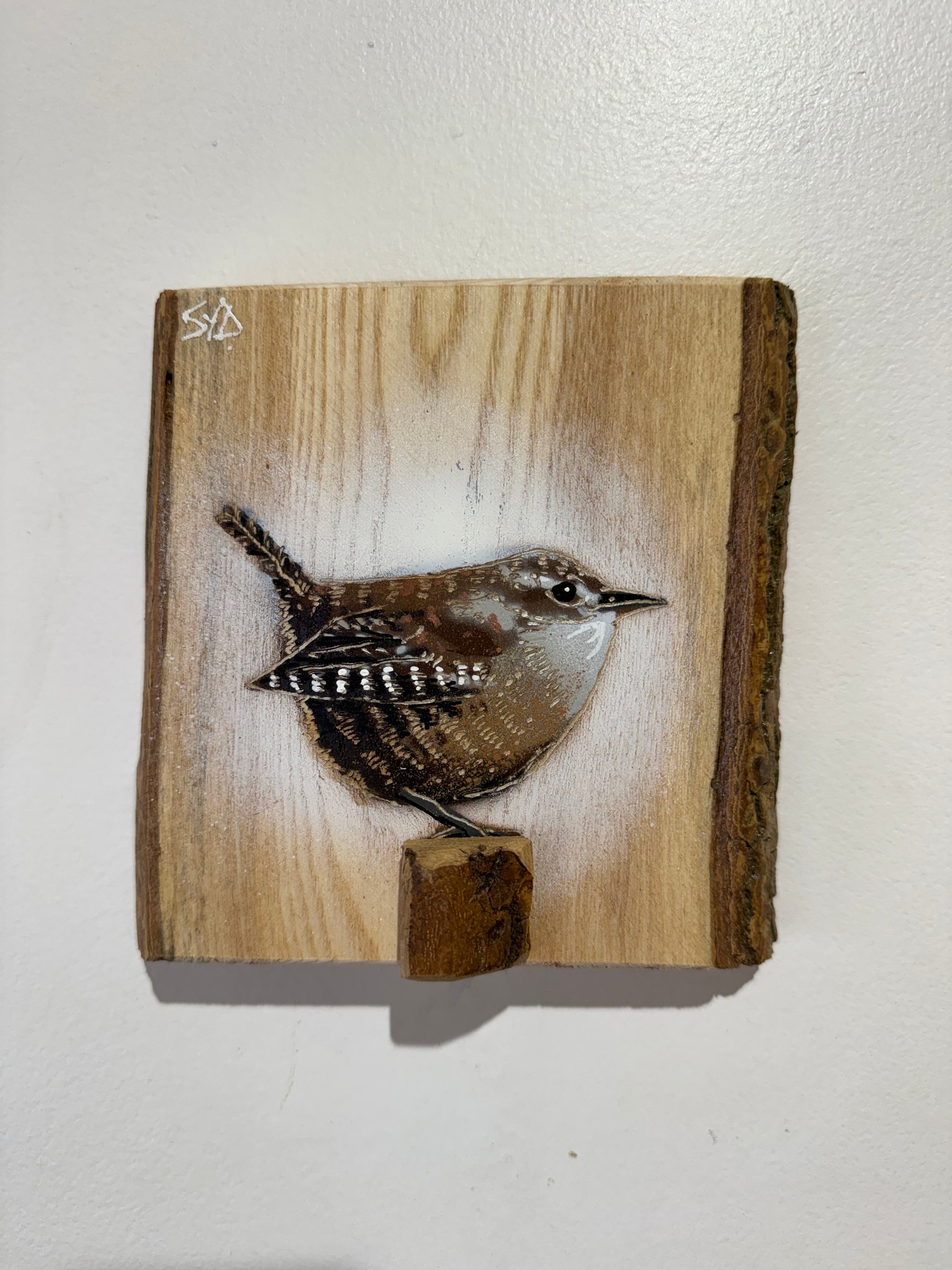 Wren 2026 - New for this summer season on barky Ash wood from the UK - No. 27 from signed limited edition artwork - 14 x 14