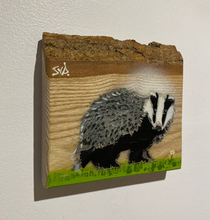 Badger 'Care Bear' - New for 2024 on Elm wood from the UK - 14 x 10cm