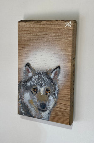 Wolf - New for 2025 Spray painted artwork onto Elm Wood - Number 24 - Signed and Limited Edition 10 x 14cm