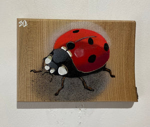 Ladybird ‘Speedy’ 2024 - Number 2 in edition Elm wood from the UK - 17 x 12cm
