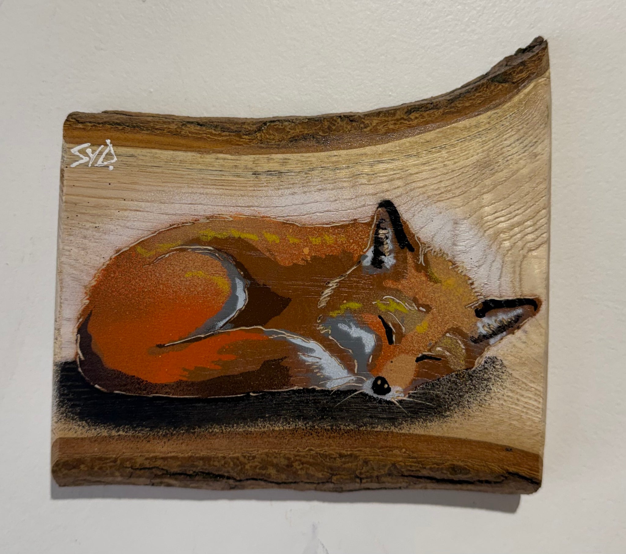 Snoozey Fox - New for 2026 on barky Ash wood - Number 35 - Size 15 x 14cm