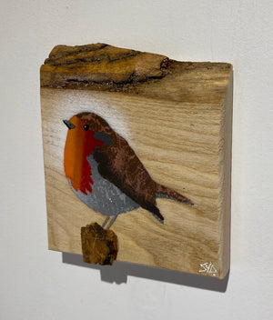 Robin 2025 on English Ash with beautiful rustic bark edge and 3D stump - 12 x 12cm - New for Mother's Day