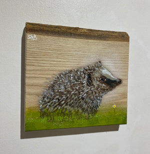 Hedgehog on barky Ash - New for 2024 - 18 x 22cm - number 53