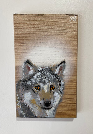 Wolf - New for 2025 Spray painted artwork onto Elm Wood - Number 24 - Signed and Limited Edition 10 x 14cm