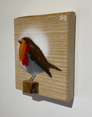 Robin 2025 on English Ash with beautiful grain and 3D perch - 11 x 13cm - New for Mother's Day