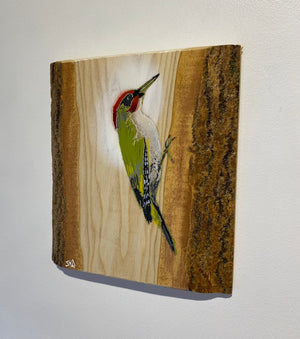 Woodpecker ‘Green’ - New for 2025 on barky Ash wood - Number 2 from signed limited edition - 24 x 26cm