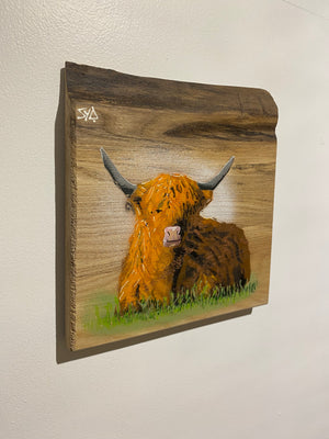 Highland Cow on Elm - Signed Limited Edition Artwork - size 23 x 25cm - Number 32