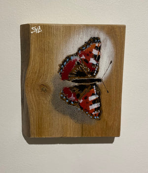 Butterfly 2024 Stencil Art on Elm, limited edition artwork - 14 x 22cm