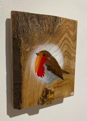 Robin 2025 on rare Elm with beautiful red grain and 3D stump - 13 x 17cm - New for Mother's Day