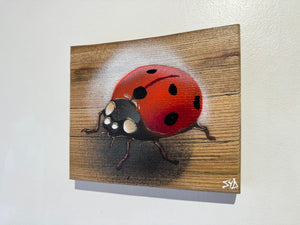 Ladybird ‘Speedy’ 2024 - No. 34 in edition on Elm wood from the UK - 15 x 13cm