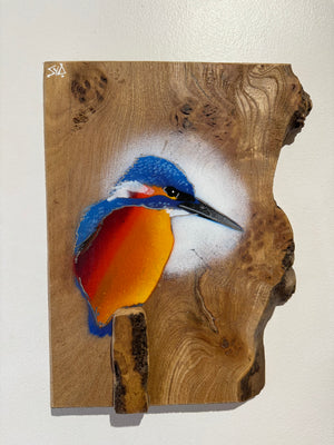 Kingfisher ‘Fisherman’ on fantastic piece of Elm wood - Signed unique artwork size 20 x 25cm - Number 50 in edition
