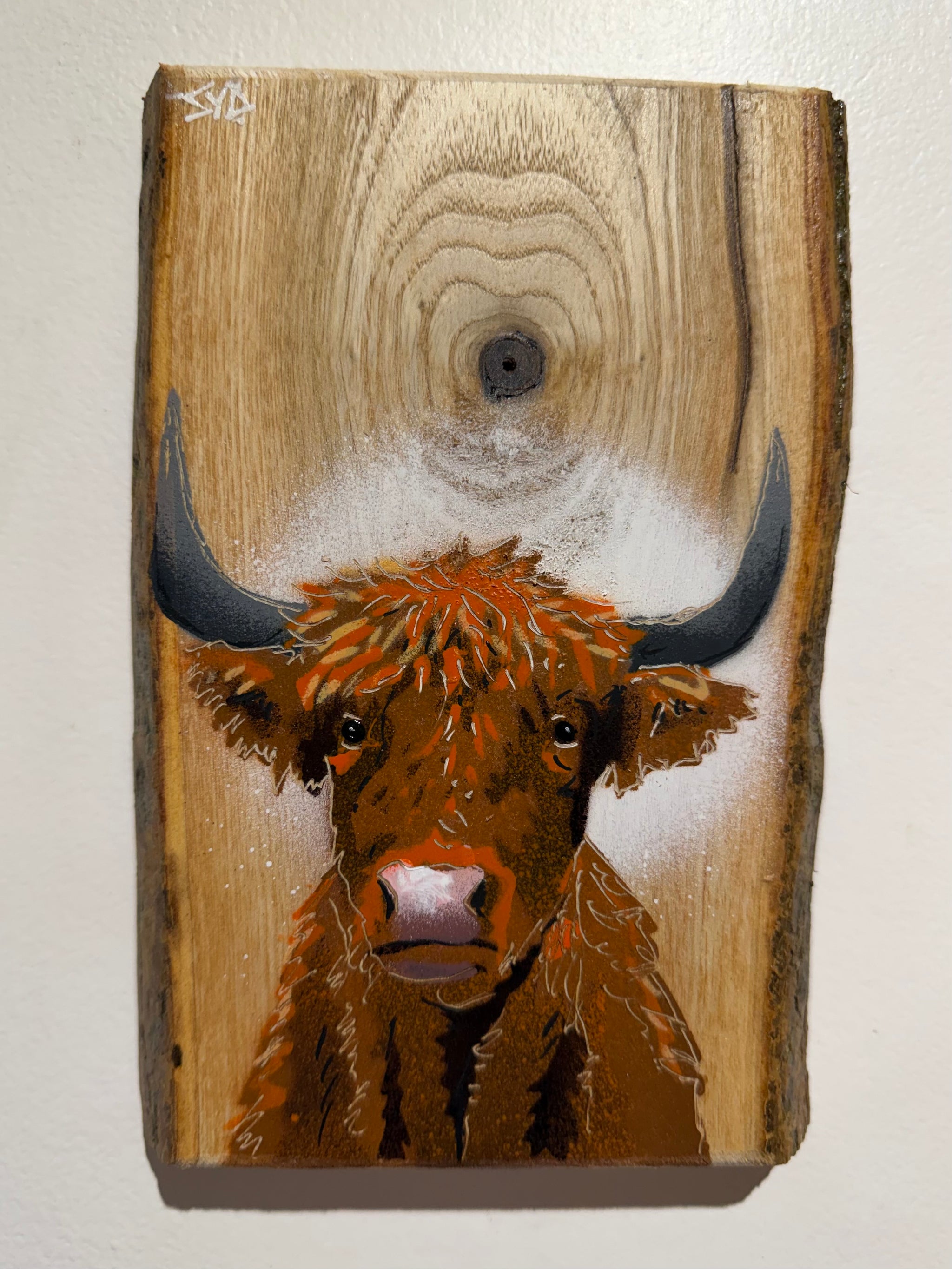 Highland Cow 2026 Barky Ash Wood - Signed Limited Edition Artwork - size 14 x 20cm - Number 11