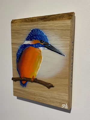 Kingfisher ‘Fisherman’ on Oak wood - Signed artwork size 14 x 19cm - Number 2 in edition