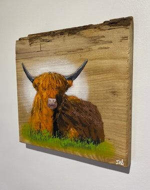 Highland Cow on Elm - Signed Limited Edition Artwork - size 23 x 23cm - Number 54