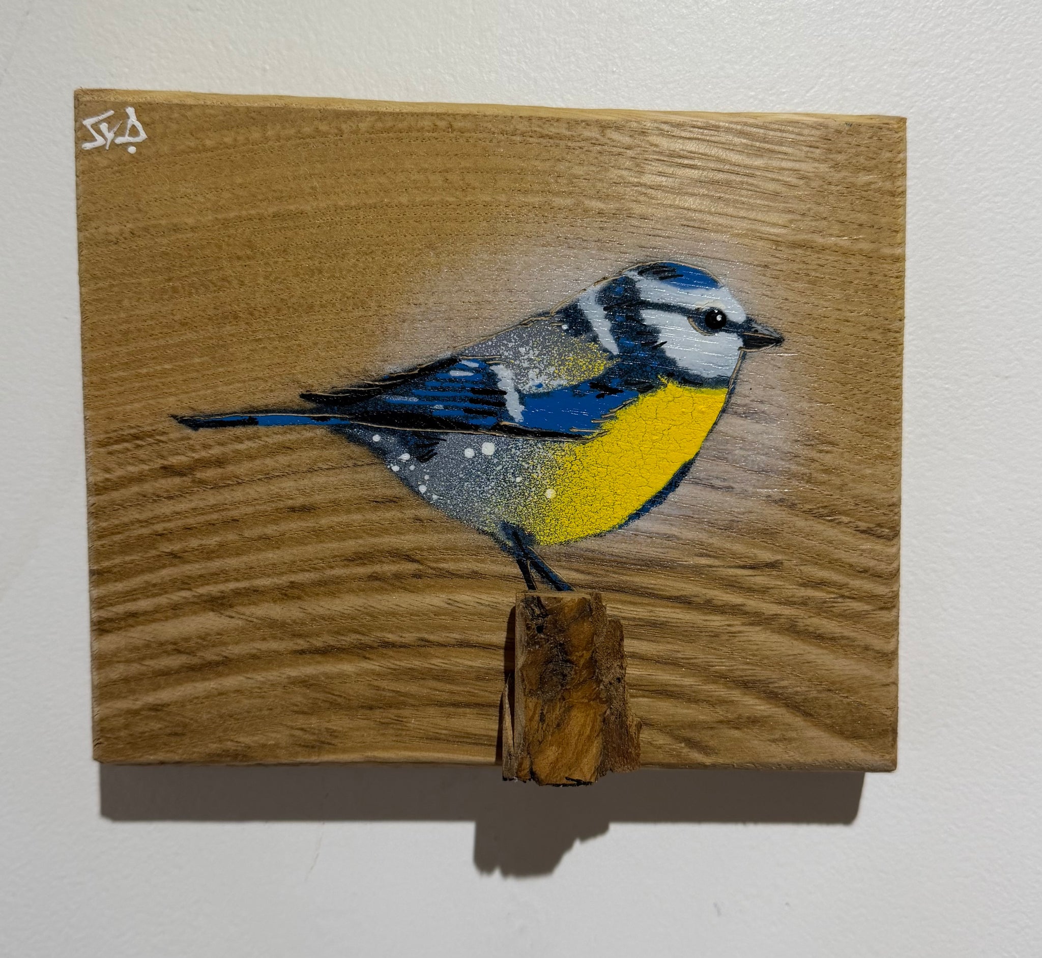 Blue Tit  'Spring Time' on Oak from the UK size 17 x 14cm - Signed limited edition artwork