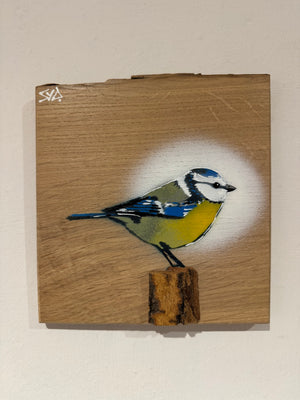 Blue Tit  'Spring Time' on Oak from the UK size 18 x 19cm - Signed limited edition artwork , number 56