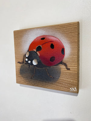 Ladybird ‘Speedy’ 2024 - No. 29 in edition on Elm wood from the UK size 14 x 13cm