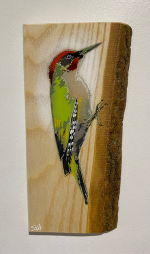 Woodpecker ‘Green’ - New for 2025 on barky Ash wood from signed limited edition - 12 x 26cm