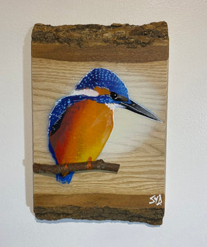 Kingfisher ‘Fisherman’ on ash barky wood - Number 1 in edition - Signed artwork size 15 x 23cm -