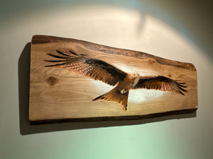 Red Kite on Elm - 78cm x 32cm - Number 3 in edition