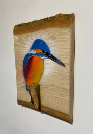 Kingfisher ‘Fisherman’ on ash barky wood - Signed artwork size 17 x 22cm