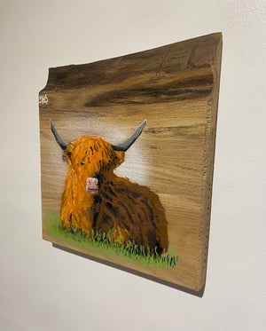 Highland Cow on Elm - Signed Limited Edition Artwork - size 23 x 25cm - Number 32