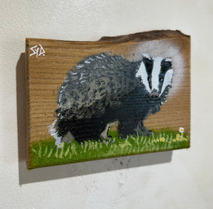 Badger 'Care Bear' -  New for 2024  No. 2 on Elm wood from the UK - 14 x 11cm