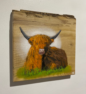 Highland Cow on Elm - Signed Limited Edition Artwork - size 23 x 23cm - Number 54