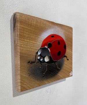 Ladybird ‘Speedy’ 2024 - Number 18 in edition Elm wood from the UK - 15 x 14cm