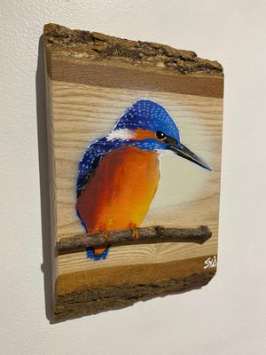 Kingfisher ‘Fisherman’ on ash barky wood - Number 3 in edition - Signed artwork size 15 x 23cm