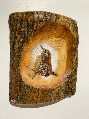 Log Art Wren - Ash Wood - 21 x 20cm