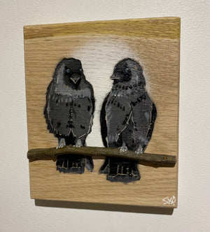 Local Lovebirds (The Jackdaws) new for 2025 on Oak wood Number 5 - 15 x 18cm