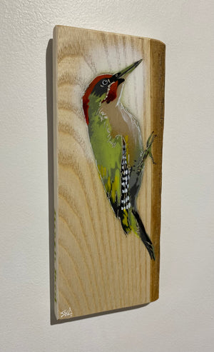 Woodpecker ‘Green’ - New for 2025 on barky Ash wood from signed limited edition - 11 x 26cm