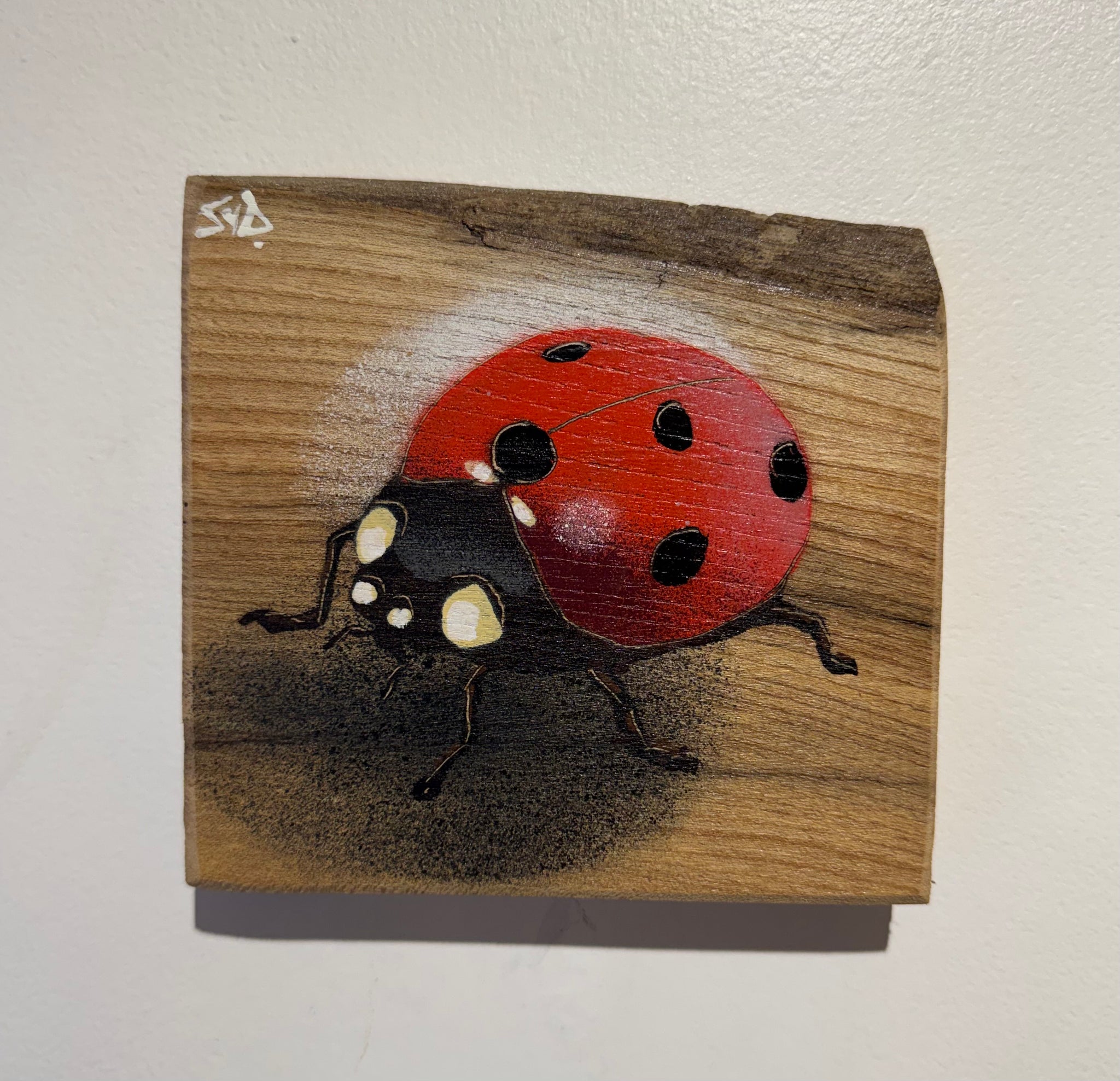 Ladybird ‘Speedy’ 2024 - No. 54 in edition on Elm wood from the UK size 14 x 14cm