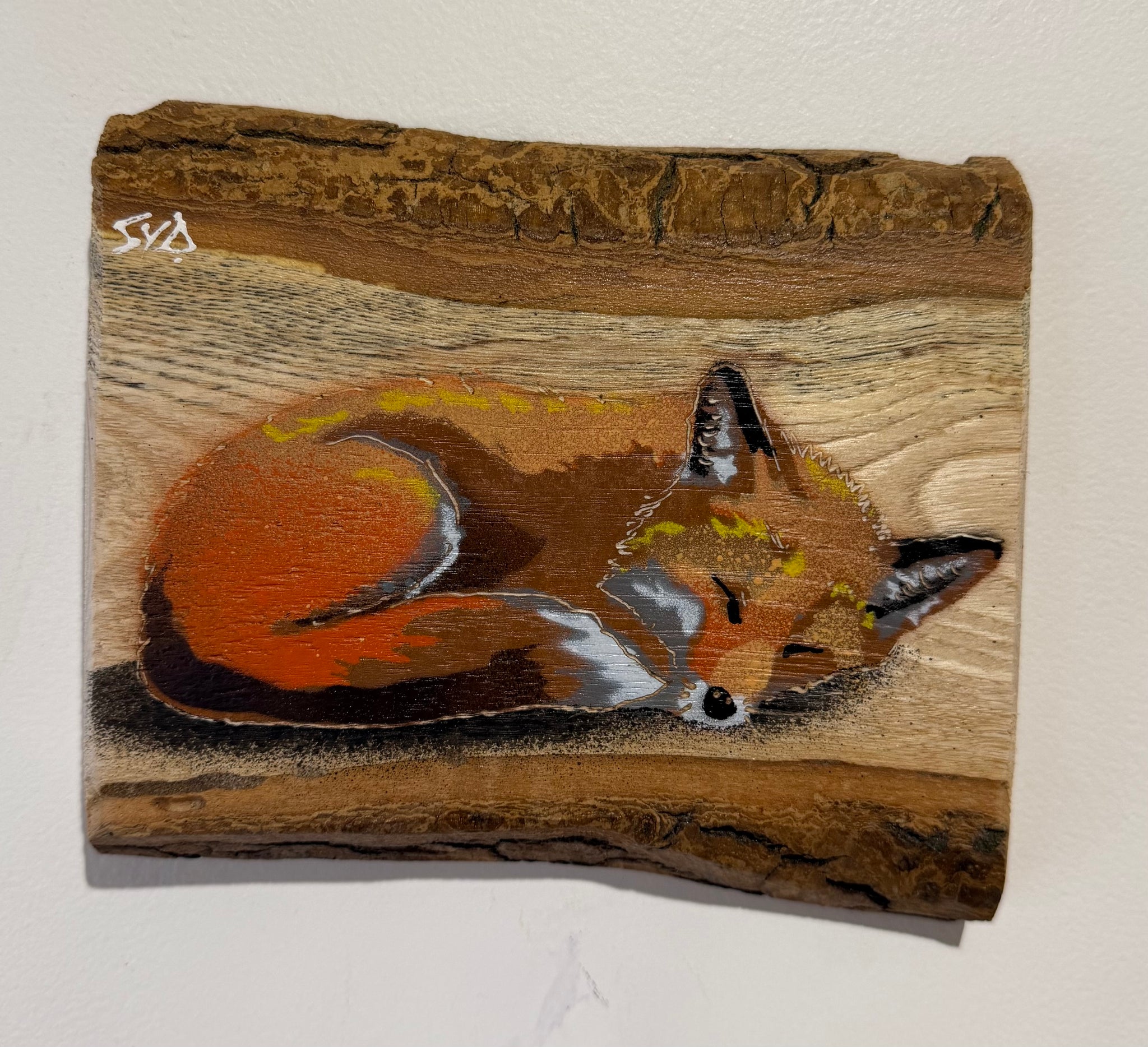 Snoozey Fox - New for 2026 on barky Ash wood - Number 36 - Size 16 x 14cm