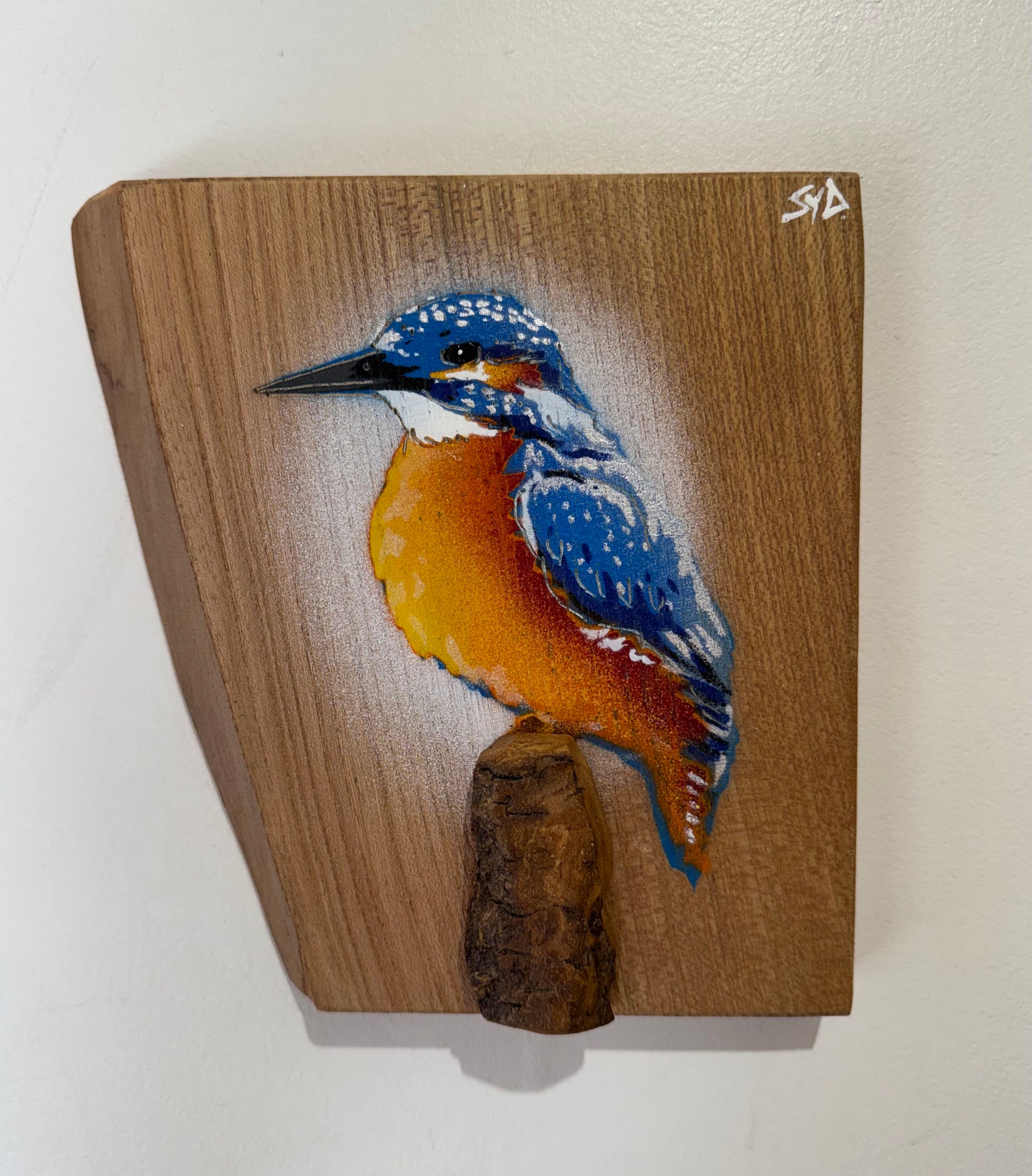 Kingfisher ‘Gone Fishing’ 2025 on Elm wood - Number 68 of Signed Limited Edition artwork size 18 x 19cm