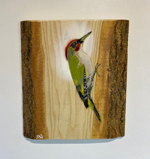 Woodpecker ‘Green’ - New for 2025 on barky Ash wood - Number 2 from signed limited edition - 24 x 26cm