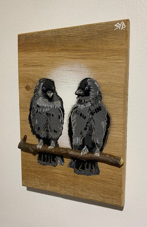 Local Lovebirds (Jackdaws) new for 2025 on Oak wood - Number 1 in edition - 14 x 21cm