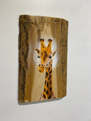 Giraffe ‘High Tower’ New for 2025 on barky Ash Wood from the UK - Number 15 - size 21 x 33cm